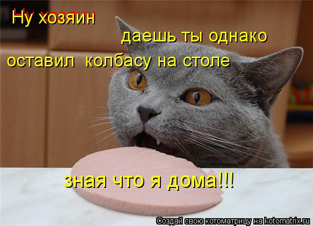 Ну хозяин даешь ты однако Ну хозяин оставил колбасу на столе зная что я дома!!!... Котоматрица: Ну хозяин даешь ты однако Ну хозяин оставил колбасу на столе зная что я дома!!!