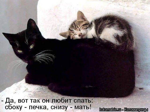 Котоматрица: - Да, вот так он любит спать: сбоку - печка, снизу - мать!