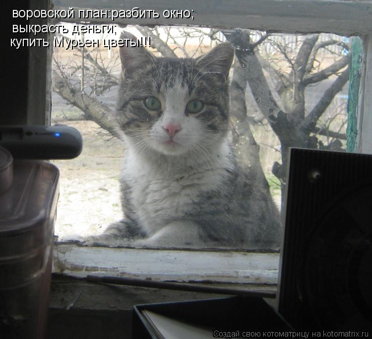 воровской план:разбить окно; выкрасть деньги; купить Мурьен цветы!!!... Котоматрица: воровской план:разбить окно; выкрасть деньги; купить Мурьен цветы!!!