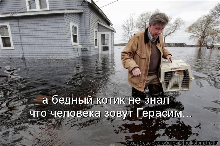 а бедный котик не знал что человека зовут Герасим...... Котоматрица: а бедный котик не знал что человека зовут Герасим...