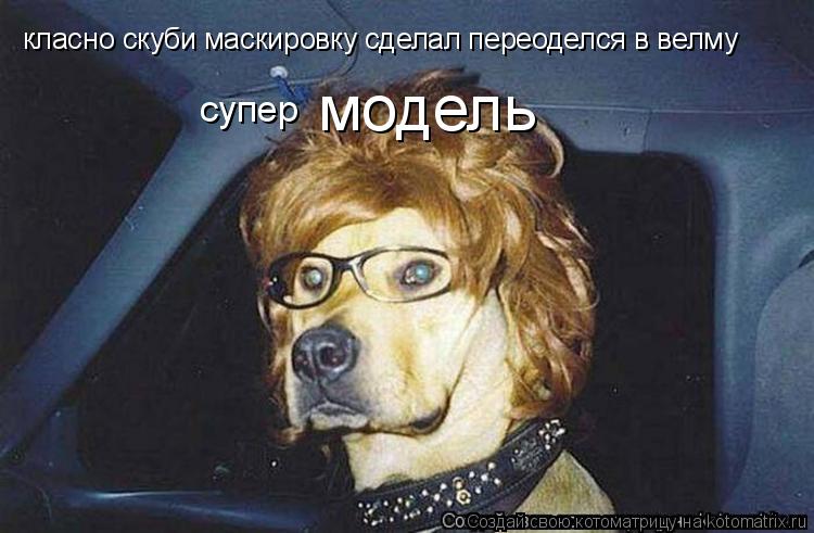 класно скуби маскировку сделал переоделся в велму супер модель... Котоматрица: класно скуби маскировку сделал переоделся в велму супер модель