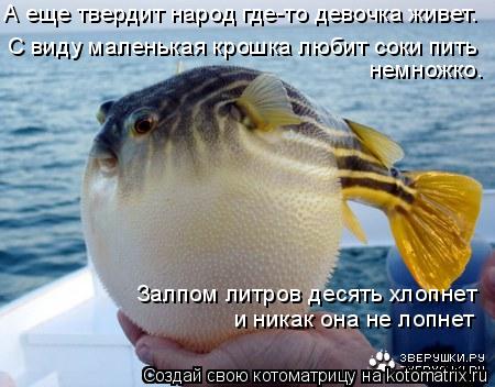А еще твердит народ где-то девочка живет. С виду маленькая крошка любит соки пить немножко. Залпом л... Котоматрица: А еще твердит народ где-то девочка живет. С виду маленькая крошка любит соки пить немножко. Залпом литров десять хлопнет и никак она не лопн