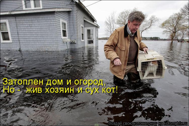 Затоплен дом и огород, Но - жив хозяин и сух кот!... Котоматрица: Затоплен дом и огород, Но - жив хозяин и сух кот!