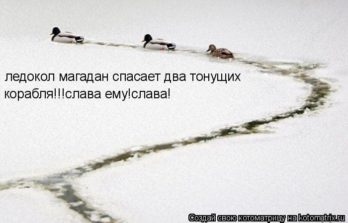 ледокол магадан спасает два тонущих корабля!!!слава ему!слава!... Котоматрица: ледокол магадан спасает два тонущих корабля!!!слава ему!слава!