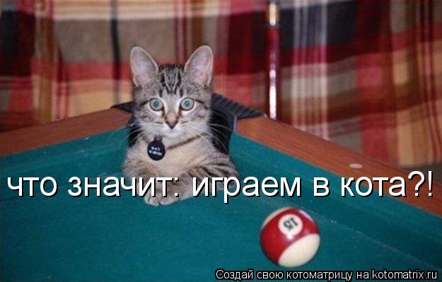 что значит: играем в кота?!... Котоматрица: что значит: играем в кота?!