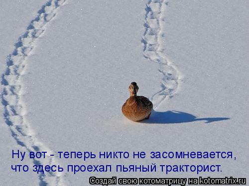 Ну вот - теперь никто не засомневается, что здесь проехал пьяный тракторист.... Котоматрица: Ну вот - теперь никто не засомневается, что здесь проехал пьяный тракторист.