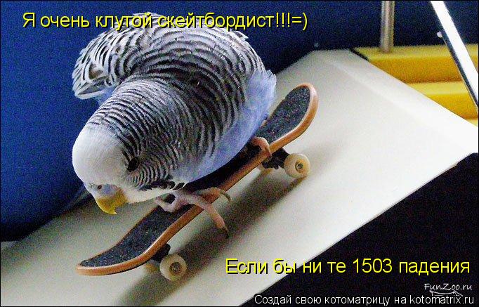 Я очень клутой скейтбордист!!!=) Если бы ни те 1503 падения... Котоматрица: Я очень клутой скейтбордист!!!=) Если бы ни те 1503 падения