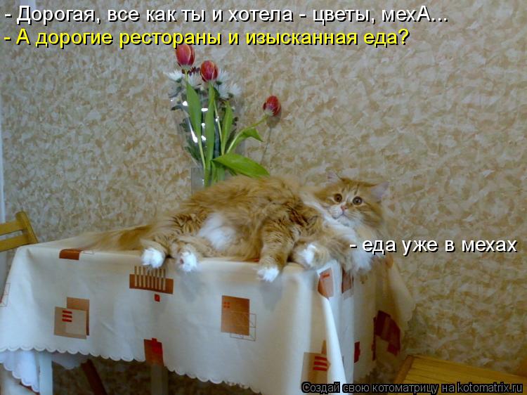 Котоматрица: - Дорогая, все как ты и хотела - цветы, мехА... - А дорогие рестораны и изысканная еда? - еда уже в мехах