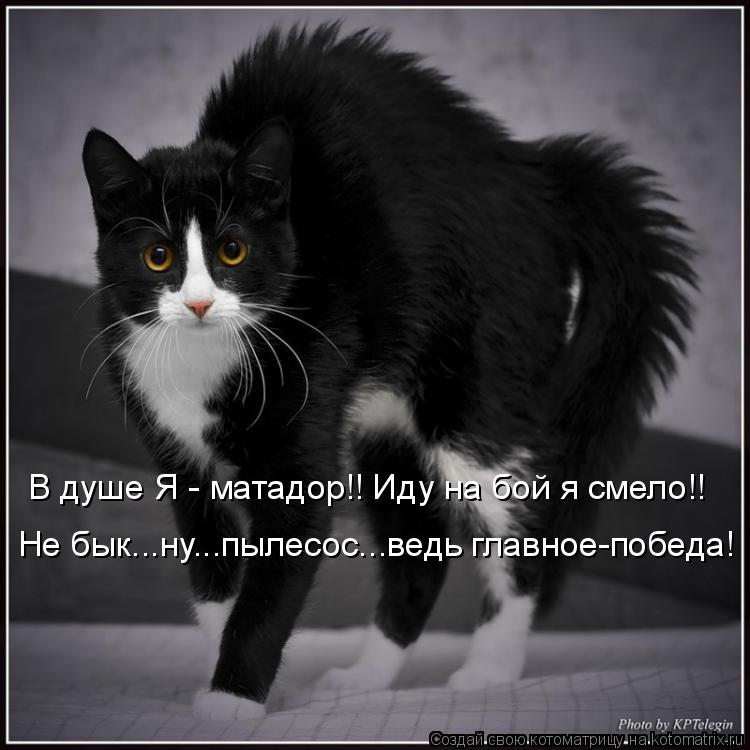 В душе Я - матадор!! Иду на бой я смело!! Не бык...ну...пылесос...ведь главное-победа!... Котоматрица: В душе Я - матадор!! Иду на бой я смело!! Не бык...ну...пылесос...ведь главное-победа!