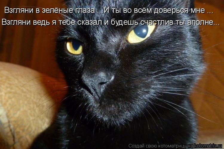 Взгляни в зелёные глаза ...И ты во всём доверься мне ... Взгляни ведь я тебе сказал и будешь счастлив... Котоматрица: Взгляни в зелёные глаза ...И ты во всём доверься мне ... Взгляни ведь я тебе сказал и будешь счастлив ты вполне...