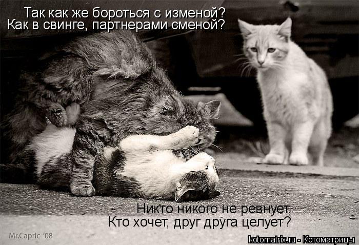 Так как же бороться с изменой? Как в свинге, партнерами сменой? Никто никого не ревнует, Кто хочет, д... Котоматрица: Так как же бороться с изменой? Как в свинге, партнерами сменой? Никто никого не ревнует, Кто хочет, друг друга целует?