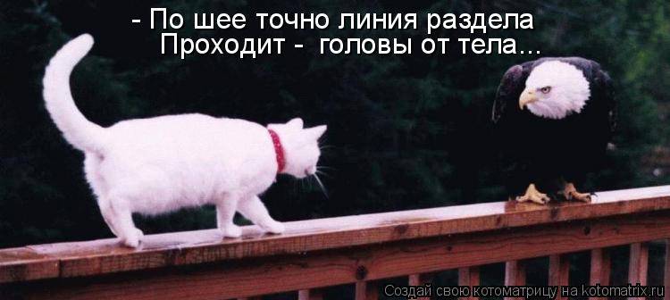 - По шее точно линия раздела Проходит - головы от тела...... Котоматрица: - По шее точно линия раздела Проходит - головы от тела...