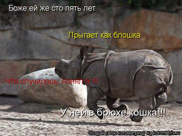 Боже:ей же сто пять лет Прыгает как блошка Что случилось, понял я !!! У ней в брюхе кошка!!!... Котоматрица: Боже:ей же сто пять лет Прыгает как блошка Что случилось, понял я !!! У ней в брюхе кошка!!!