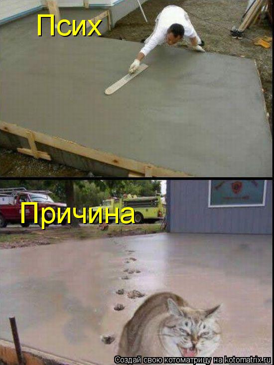 Псих Причина... Котоматрица: Псих Причина