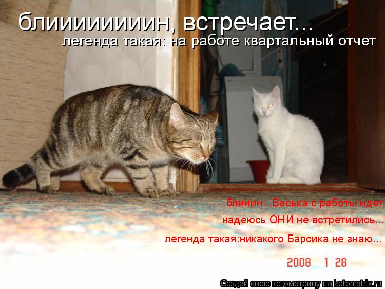 блиииииииин, встречает... легенда такая: на работе квартальный отчет блииин...Васька с работы идет...... Котоматрица: блиииииииин, встречает... легенда такая: на работе квартальный отчет блииин...Васька с работы идет... легенда такая:никакого Барсика не знаю...