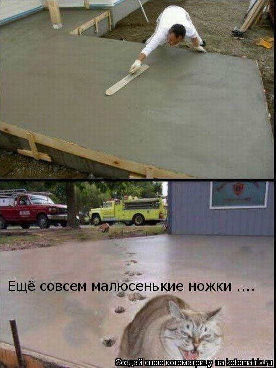 Ещё совсем малюсенькие ножки ....... Котоматрица: Ещё совсем малюсенькие ножки ....