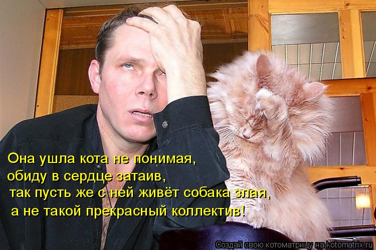 Котоматрица: так пусть же с ней живёт собака злая,  а не такой прекрасный коллектив! Она ушла кота не понимая,  обиду в сердце затаив,