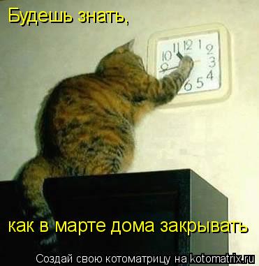 как в марте дома закрывать Будешь знать,... Котоматрица: как в марте дома закрывать Будешь знать,