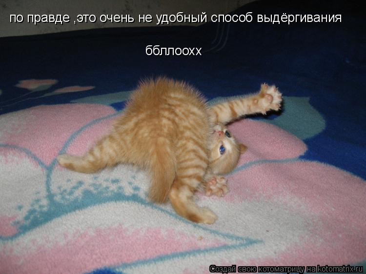 по правде ,это очень не удобный способ выдёргивания ббллоохх... Котоматрица: по правде ,это очень не удобный способ выдёргивания ббллоохх
