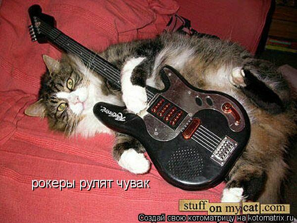 рокеры рулят чувак... Котоматрица: рокеры рулят чувак