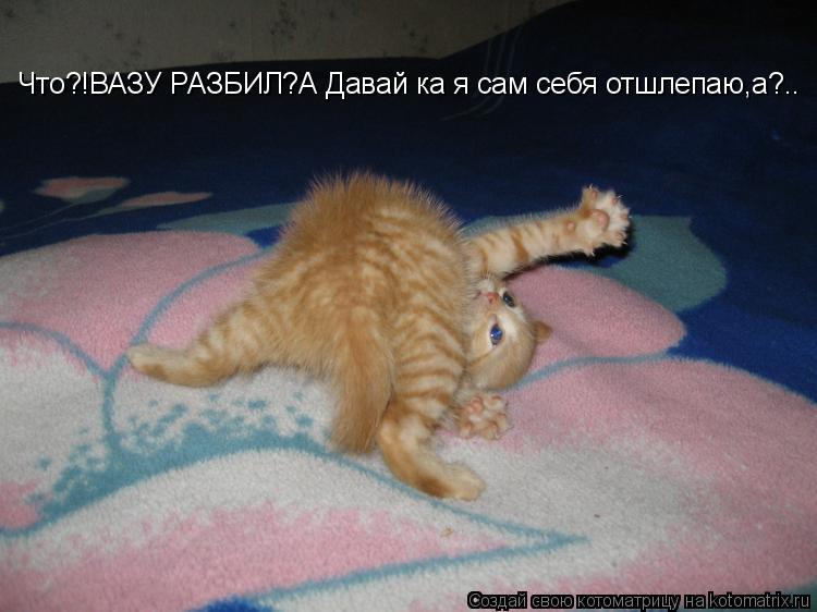 Что?!ВАЗУ РАЗБИЛ?А Давай ка я сам себя отшлепаю,а?..... Котоматрица: Что?!ВАЗУ РАЗБИЛ?А Давай ка я сам себя отшлепаю,а?..