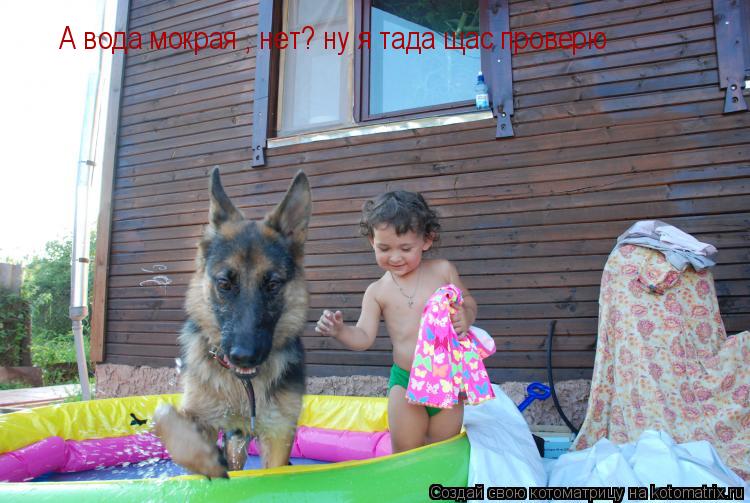 А вода мокрая , нет? ну я тада щас проверю... Котоматрица: А вода мокрая , нет? ну я тада щас проверю