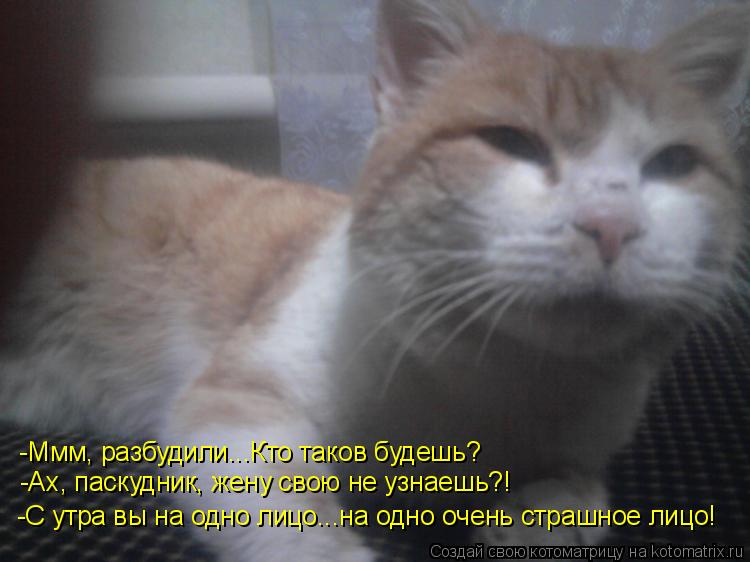 -Ах, паскудник, жену свою не узнаешь?! -С утра вы на одно лицо...на одно очень страшное лицо! -Ммм, р... Котоматрица: -Ах, паскудник, жену свою не узнаешь?! -С утра вы на одно лицо...на одно очень страшное лицо! -Ммм, разбудили...Кто таков будешь?