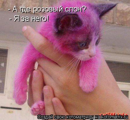 - А где розовый слон? - Я за него!... Котоматрица: - А где розовый слон? - Я за него!