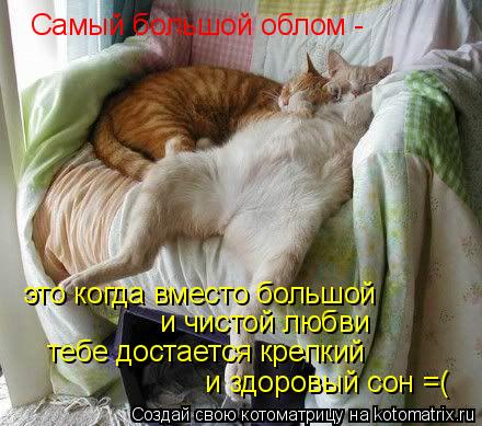 Самый большой облом - это когда вместо большой и чистой любви тебе достается крепкий и здоровый сон... Котоматрица: Самый большой облом - это когда вместо большой и чистой любви тебе достается крепкий и здоровый сон =(
