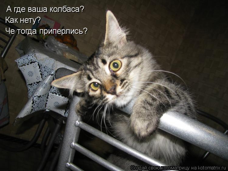 А где ваша колбаса? Как нету? Че тогда приперлись?... Котоматрица: А где ваша колбаса? Как нету? Че тогда приперлись?
