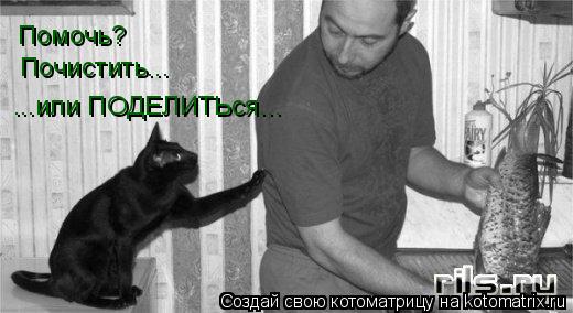 Котоматрица: Помочь?  Почистить... ...или ПОДЕЛИТЬся...