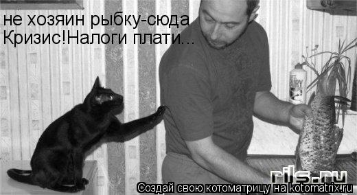 Котоматрица: не хозяин рыбку-сюда Кризис!Налоги плати...