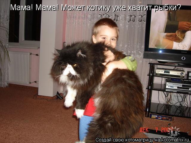 Котоматрица: Мама! Мама! Может котику уже хватит рыбки?