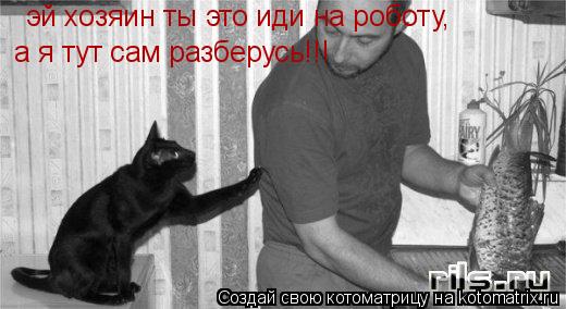 Котоматрица: эй хозяин ты это иди на роботу,  а я тут сам разберусь!!!