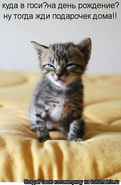 куда в госи?на день рождение? ну тогда жди подарочек дома!!... Котоматрица: куда в госи?на день рождение? ну тогда жди подарочек дома!!