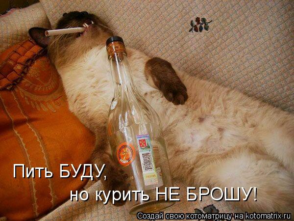 Пить БУДУ, но курить НЕ БРОШУ!... Котоматрица: Пить БУДУ, но курить НЕ БРОШУ!