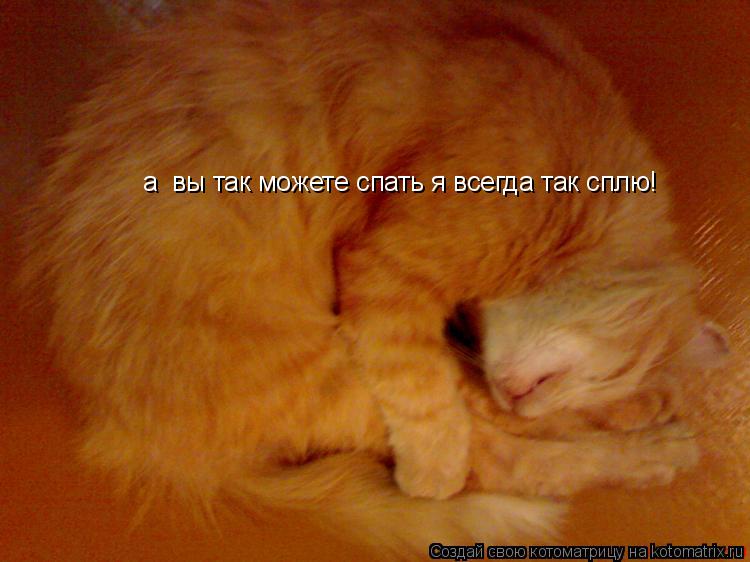 а вы так можете спать я всегда так сплю!... Котоматрица: а вы так можете спать я всегда так сплю!