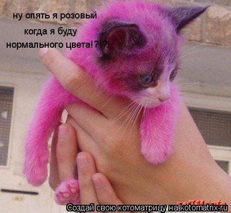 ну опять я розовый когда я буду нормального цвета!?!?!... Котоматрица: ну опять я розовый когда я буду нормального цвета!?!?!