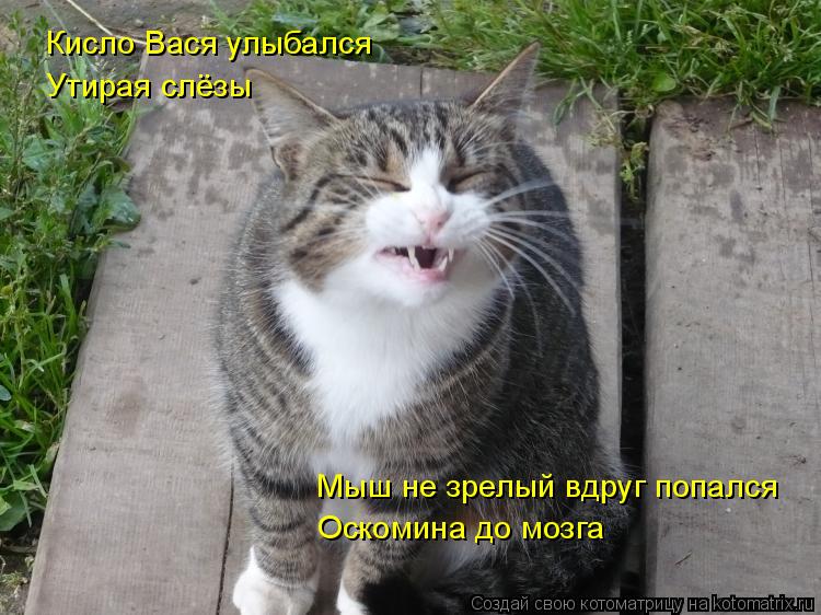 Кисло Вася улыбался Утирая слёзы Мыш не зрелый вдруг попался Оскомина до мозга... Котоматрица: Кисло Вася улыбался Утирая слёзы Мыш не зрелый вдруг попался Оскомина до мозга
