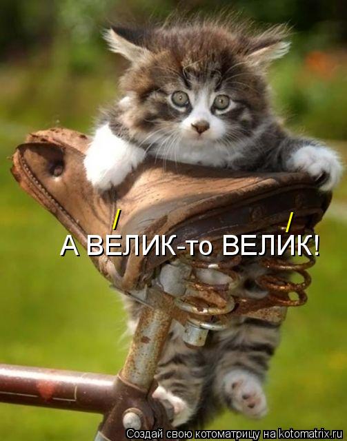 Котоматрица: А ВЕЛИК-то ВЕЛИК! / /