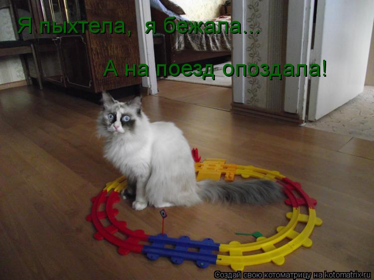 Я пыхтела, я бежала... А на поезд опоздала!... Котоматрица: Я пыхтела, я бежала... А на поезд опоздала!