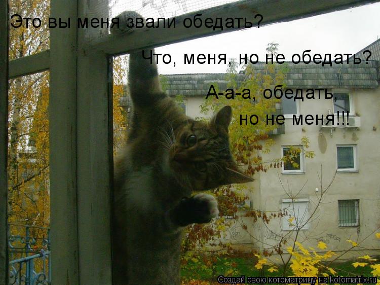 Это вы меня звали обедать? Что, меня, но не обедать? А-а-а, обедать, но не меня!!!... Котоматрица: Это вы меня звали обедать? Что, меня, но не обедать? А-а-а, обедать, но не меня!!!