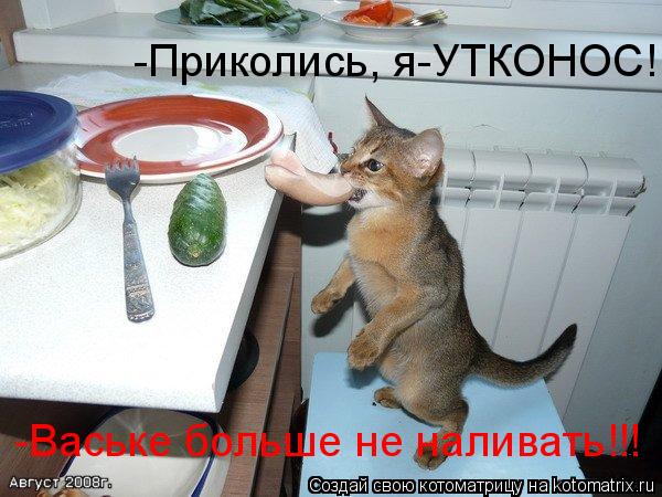 -Приколись, я-УТКОНОС! -Ваське больше не наливать!!!... Котоматрица: -Приколись, я-УТКОНОС! -Ваське больше не наливать!!!