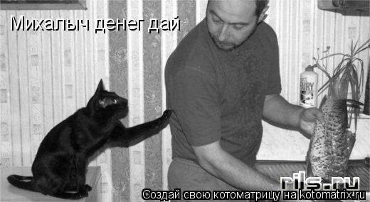 Михалыч денег дай... Котоматрица: Михалыч денег дай