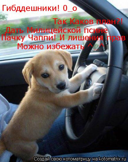 Так Каков план?! Гибддешники! 0_о Дать Милицейской псине Пачку Чаппи! И лишения прав Можно избежать ^... Котоматрица: Так Каков план?! Гибддешники! 0_о Дать Милицейской псине Пачку Чаппи! И лишения прав Можно избежать ^_^