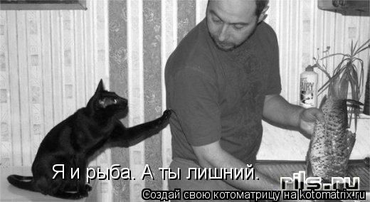 Я и рыба. А ты лишний.... Котоматрица: Я и рыба. А ты лишний.