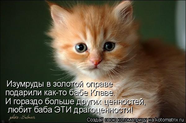 Котоматрица: Изумруды в золотой оправе  подарили как-то бабе Клаве. И гораздо больше других ценностей,  любит баба ЭТИ драгоценности!