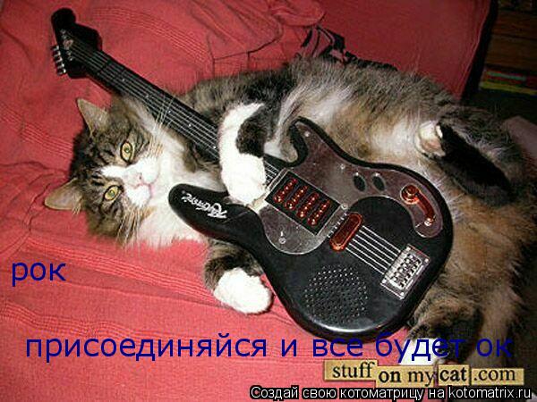 рок присоединяйся и все будет ок... Котоматрица: рок присоединяйся и все будет ок