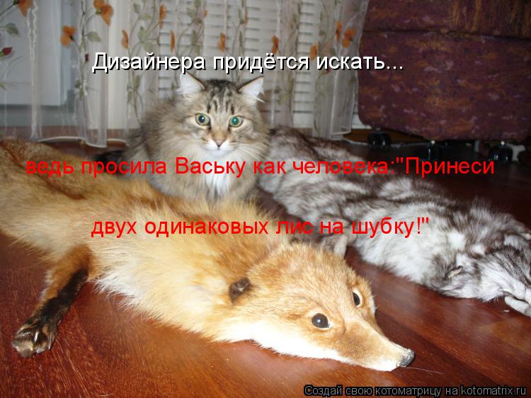 Дизайнера придётся искать... ведь просила Ваську как человека:"Принеси двух одинаковых лис на шубку!"... Котоматрица: Дизайнера придётся искать... ведь просила Ваську как человека:"Принеси двух одинаковых лис на шубку!"