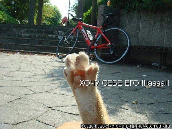 ХОЧУ СЕБЕ ЕГО!!!!аааа!!... Котоматрица: ХОЧУ СЕБЕ ЕГО!!!!аааа!!